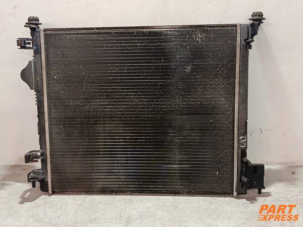 Radiatore Acqua Nissan Qashqai J11 2013 - 2021 214104ED1A